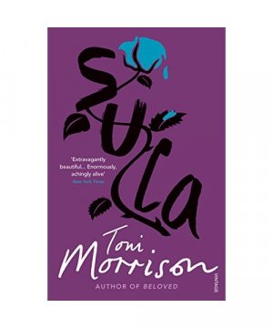 gebrauchtes Buch – Toni Morrison – Sula