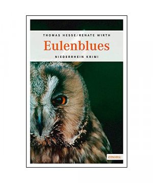 gebrauchtes Buch – Thomas Hesse – Eulenblues