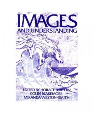 gebrauchtes Buch – Images and Understanding: Thoughts about Images: Ideas about Understanding