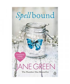 gebrauchtes Buch – Jane Green – Spellbound