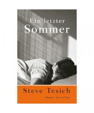 gebrauchtes Buch – Steve Tesich – Ein letzter Sommer