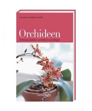 gebrauchtes Buch – Francoise Lecoufle – Orchideen