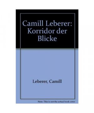 Camill Leberer. Korridor der Blicke