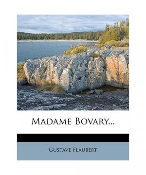 Madame Bovary, oder: Eine Französin in der Provinz.