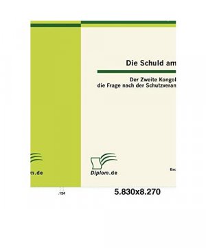 Die Schuld am Töten: Der Zweite Kongokrieg und die Frage nach der Schutzverantwortung