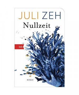 gebrauchtes Buch – Juli Zeh – Nullzeit