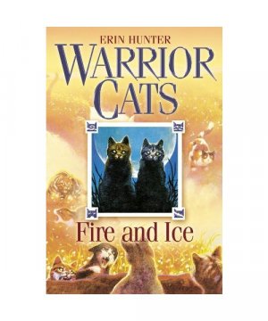 gebrauchtes Buch – Erin Hunter – Fire and Ice
