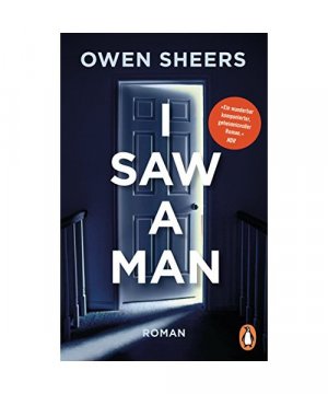 gebrauchtes Buch – Owen Sheers – I Saw a Man