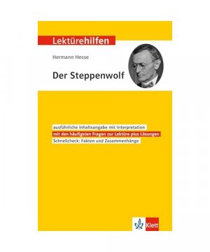 gebrauchtes Buch – Klett Lektürehilfen Hermann Hesse "Der Steppenwolf"