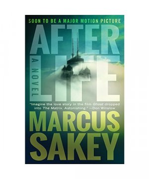 gebrauchtes Buch – Marcus Sakey – Afterlife