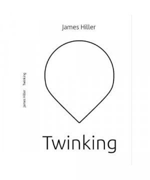 gebrauchtes Buch – James Hiller – Twinking