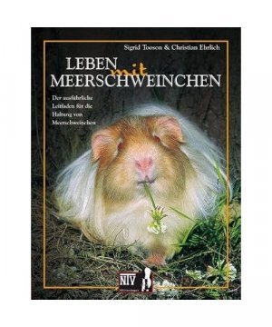 gebrauchtes Buch – Sigrid Toosen – Leben mit Meerschweinchen