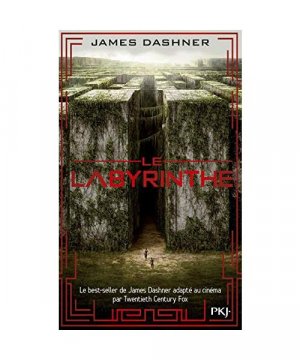 Le Labyrinthe 1 L'épreuve