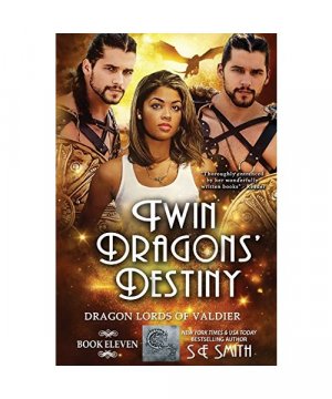 Twin Dragons' Destiny: Dragon Lords of Valdier Book 11