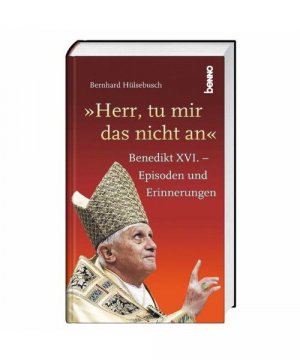 gebrauchtes Buch – Bernhard Hülsenbach – Herr, tu mir das nicht an