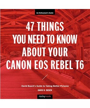 gebrauchtes Buch – David D. Busch – 47 Things You Need to Know About Your Canon EOS Rebel T6