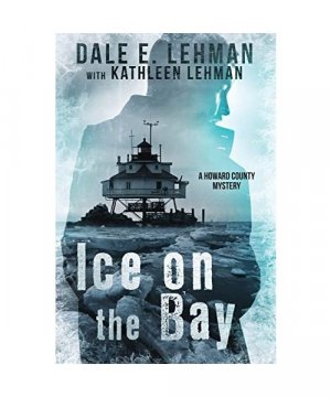 gebrauchtes Buch – Dale E Lehman, Kathleen Lehman – Ice on the Bay
