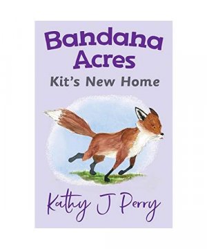 gebrauchtes Buch – Kathy J Perry – Kit's New Home