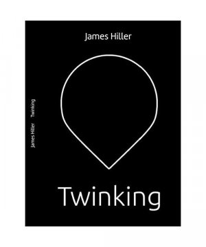 gebrauchtes Buch – James Hiller – Twinking