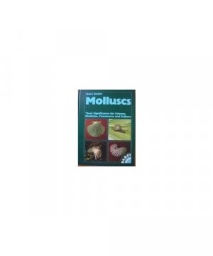 Molluscs