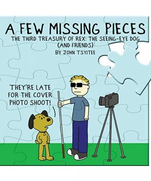gebrauchtes Buch – John Tsyitee – A Few Missing Pieces