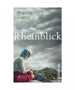 gebrauchtes Buch – Brigitte Glaser – Rheinblick