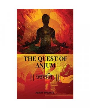 gebrauchtes Buch – Ankit Padhye – The Quest of Anjum: &#2332;&#2381;&#2357;&#2354;&#2340;&#2367