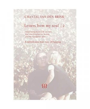 gebrauchtes Buch – Chantal van den Brink – Letters From My Soul 2