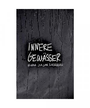 gebrauchtes Buch – Elena Jia Lan Saerberg – Innere Gewässer