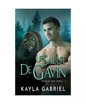 gebrauchtes Buch – Kayla Gabriel – Le Salut de Gavin