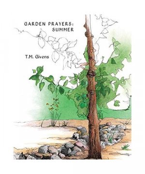 gebrauchtes Buch – T. M. Givens – Garden Prayers: Summer