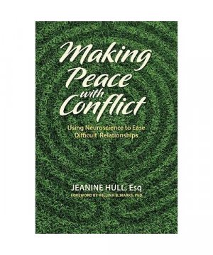 gebrauchtes Buch – Jeanine Hull – Making Peace with Conflict