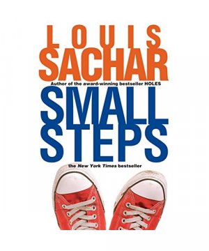 gebrauchtes Buch – Louis Sachar – Small Steps