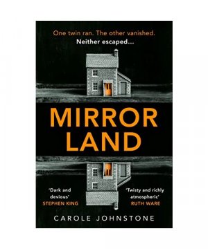 gebrauchtes Buch – Carole Johnstone – Mirrorland