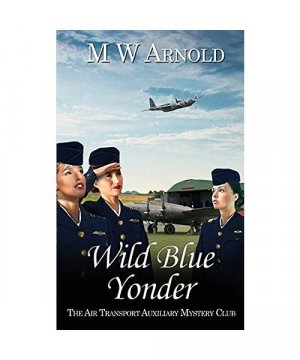 gebrauchtes Buch – M. W. Arnold – Wild Blue Yonder