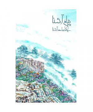 gebrauchtes Buch – Payam Ashena – Payam Ashena