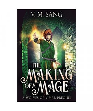 gebrauchtes Buch – V. M. Sang – The Making Of A Mage