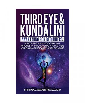 gebrauchtes Buch – Spiritual Awakening Academy – THIRD EYE & KUNDALINI AWAKENING FOR BEGINNERS