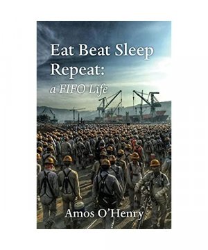 gebrauchtes Buch – Amos O'Henry – Eat Beat Sleep Repeat