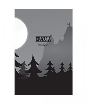 gebrauchtes Buch – Bram Stoker – Dracula