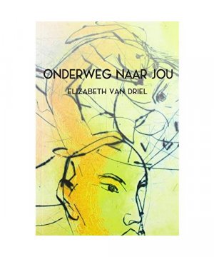 gebrauchtes Buch – Driel, Elizabeth van – Onderweg naar jou