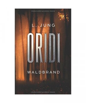 gebrauchtes Buch – L Jung – Oridi: Waldbrand