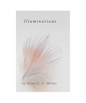 gebrauchtes Buch – Dawn L. C – Illuminations