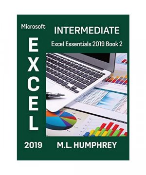 gebrauchtes Buch – M. L. Humphrey – Excel 2019 Intermediate