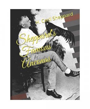 gebrauchtes Buch – Sheppard, H. Cecil – Sheppard's Famous Anconas gebrauchtes Buch – Sheppard, H. Cecil – Sheppard's Famous Anconas