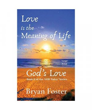 gebrauchtes Buch – Bryan W Foster – Love is the Meaning of Life