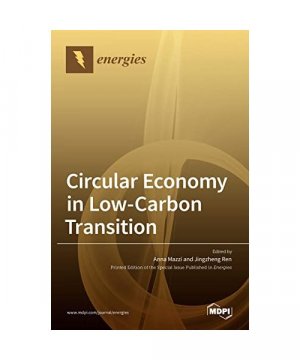 Circular Economy in Low-Carbon Transition