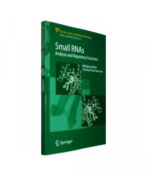 gebrauchtes Buch – Small RNAs