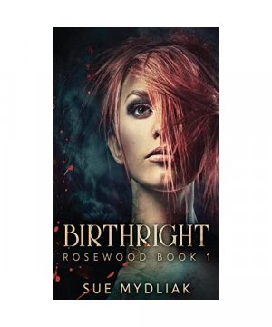 gebrauchtes Buch – Sue Mydliak – Birthright