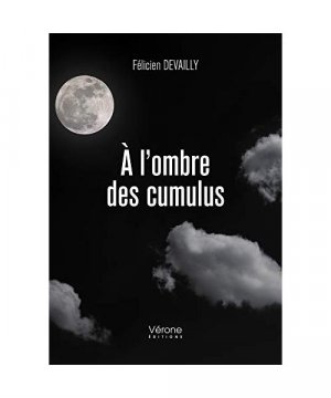 gebrauchtes Buch – Félicien Devailly – A l'ombre des cumulus